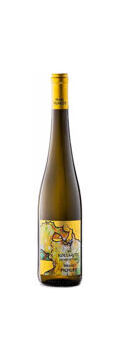 Franz Pichler, Grüner Veltliner Kollmitz DB Smaragd (2018)