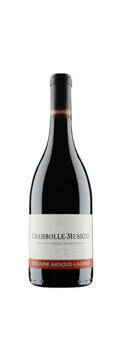 Domaine Arnoux-Lachaux, Chambolle-Musigny (2017)