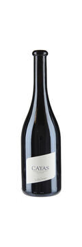 Jean-René Germanier, Syrah Cayas (2022)