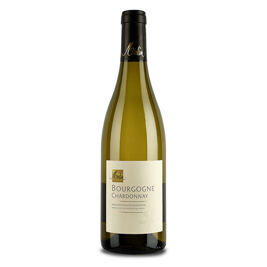 Domaine Olivier Merlin, Bourgogne Blanc (2021)