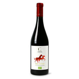 Biocantina Giannattasio, Nero Di Troia (2016)