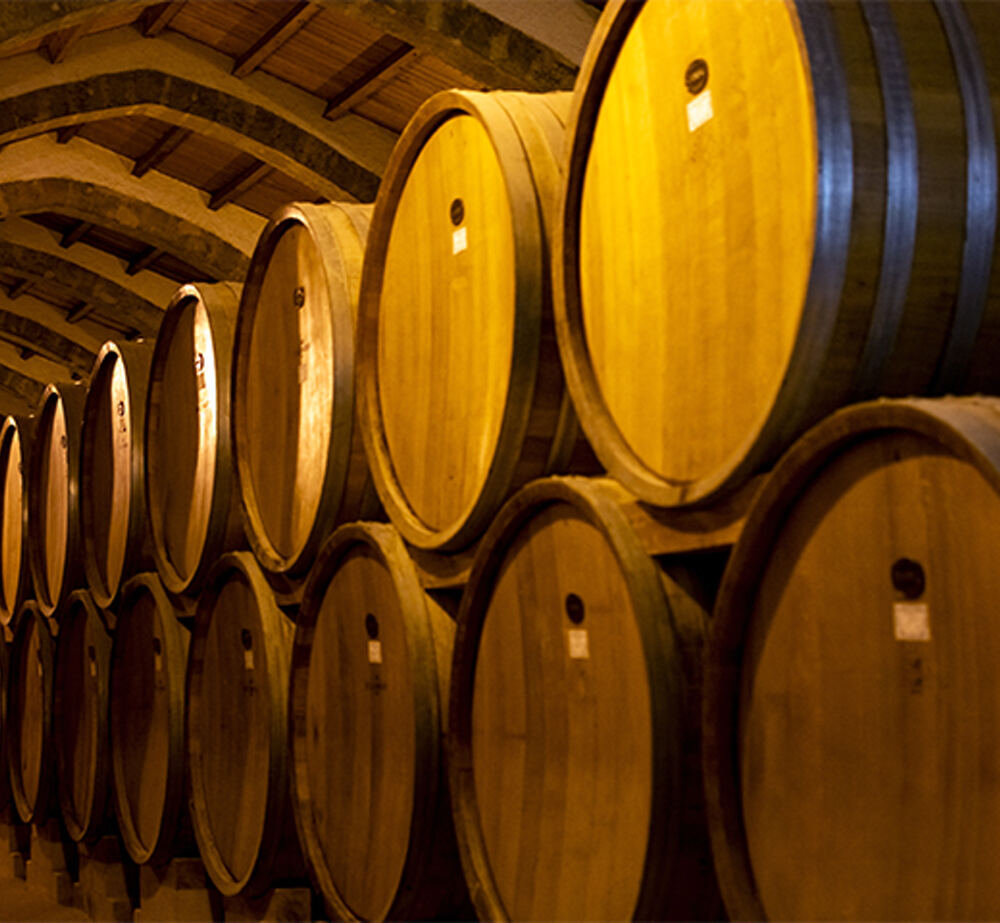 wine barrels in a cellar